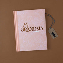 Load image into Gallery viewer, pink-bookcover-with-copper-colored-letters