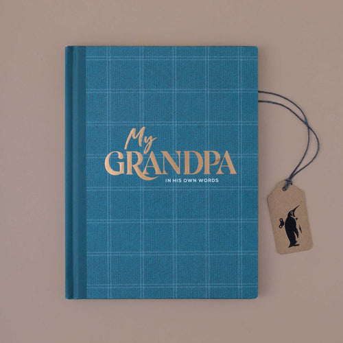 blue-checked-book-cover-with-golden-letters