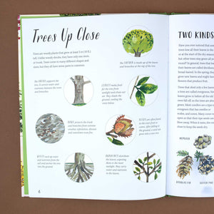 open-book-with-text-and-illustraions-about-trees