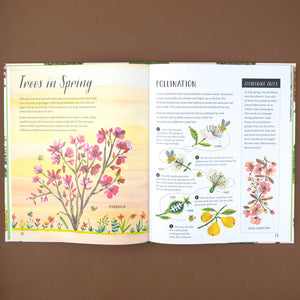 open-book-with-information-about-trees-in-spring-and-pollination
