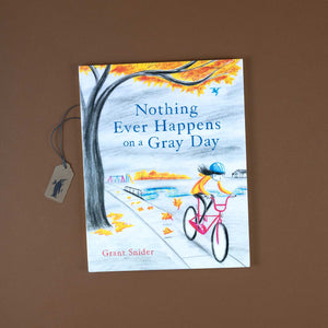 nothing-ever-happens-on-a-gray-day-book