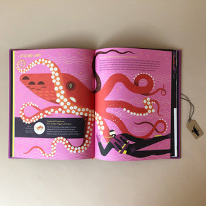obsessive-about-octopuses-open-page-with-text-and-illustrations