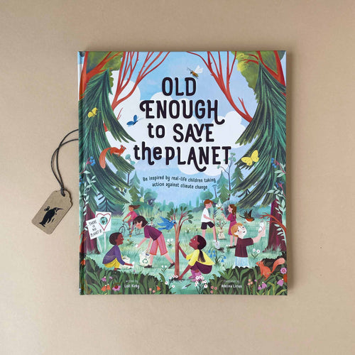 old-enough-to-save-the-planet-cover