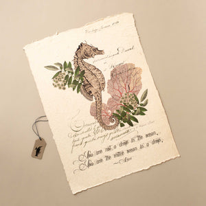 seahorse-in-leaves-and-coral-above-cursive-quote