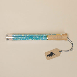 Glass tube with Pencil Terrarium Wildflower Mix