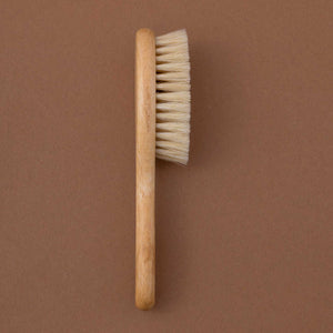 side-view-of-brush