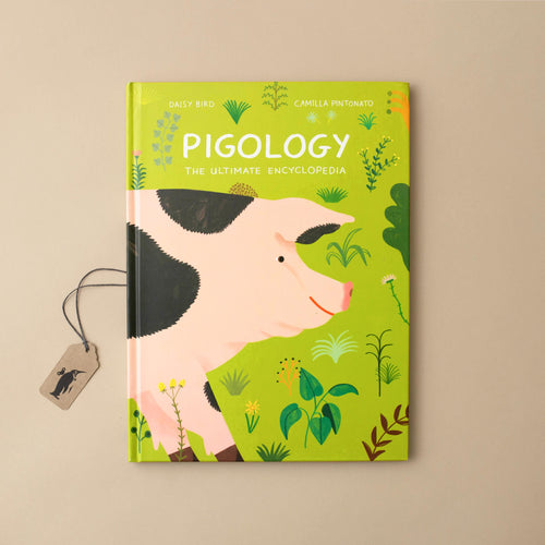 Pigology: The Ultimate Encyclopedia - Books (Children's) - pucciManuli