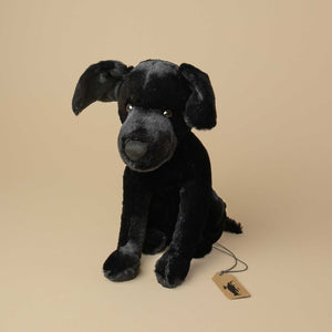 black-sitting-labrador-dog-with-floppy-ears