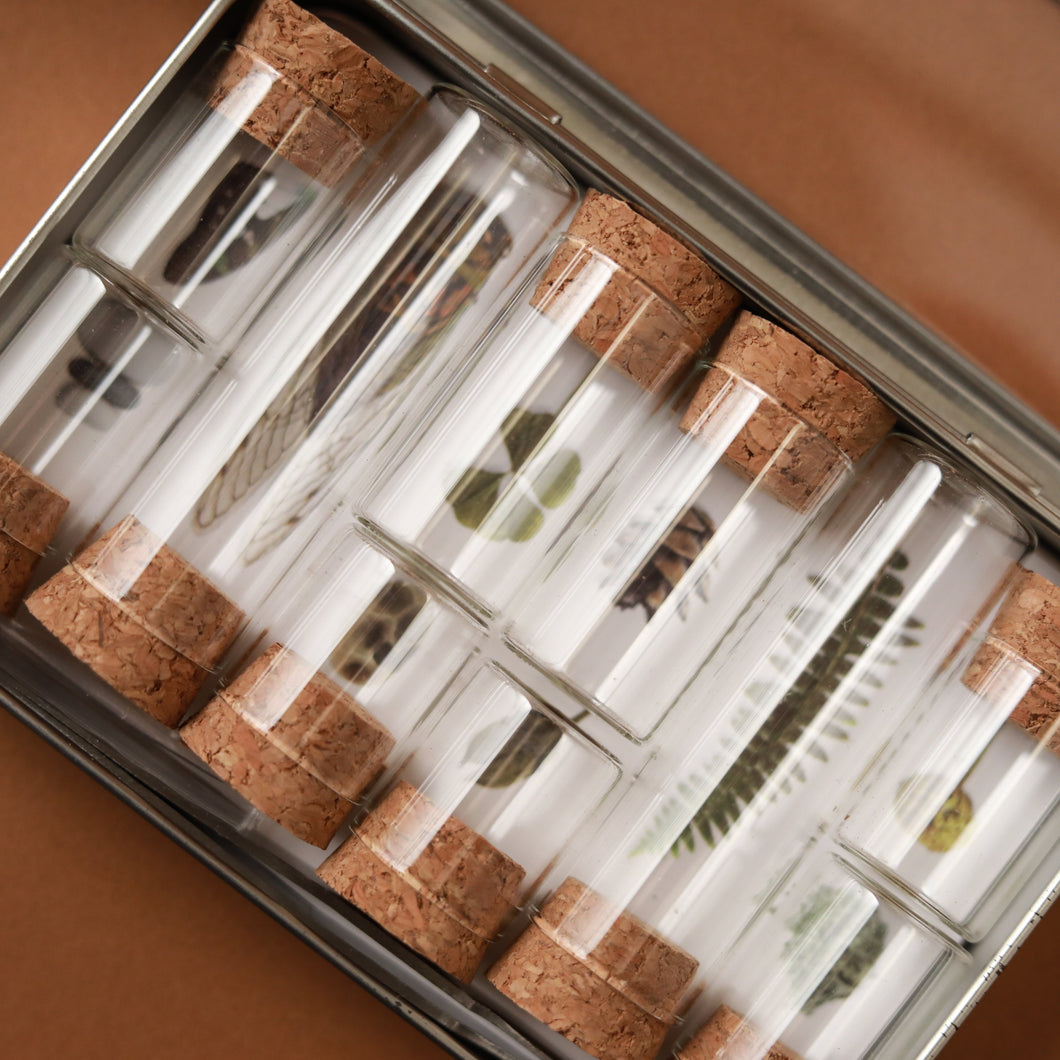 small-glass-jars-with-corks-in-metal-box-packaging