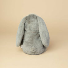 Load image into Gallery viewer, back-view-grey-plush-bunny