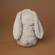 Load image into Gallery viewer, back-view-of-oyster-plush-bunny