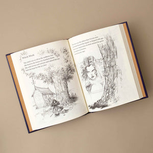 interior-pages-illustrated-with-pencil-sketches