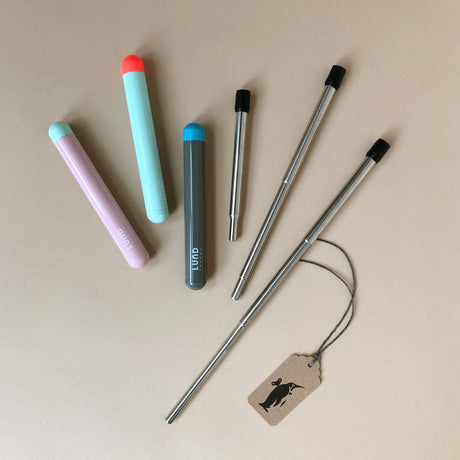 metal-extendable-straw-with-colorful-cases