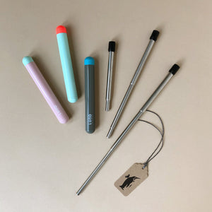 metal-extendable-straw-with-colorful-cases