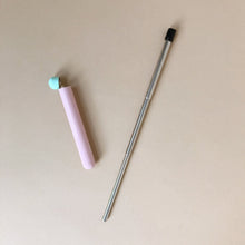 Load image into Gallery viewer, metal-straw-next-to-pink-and-metal-case