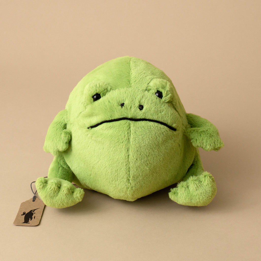 Super Lovely Ricky Rain Frog Plush Toy Soft Stuffed Animal Kawaii