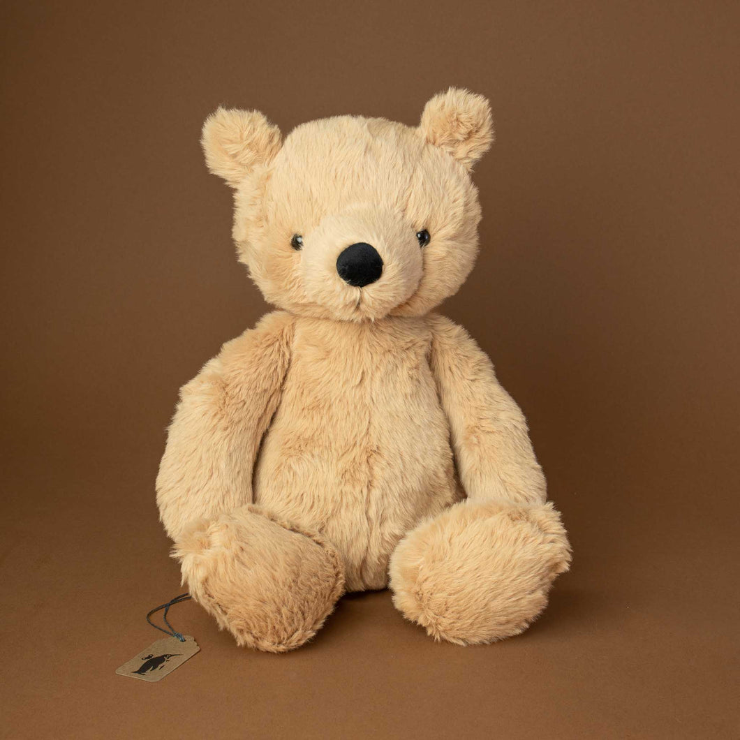 beige-fluffy-teddybear-with-black-nose-and-friendly-face
