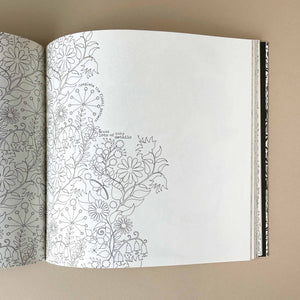 Secret Garden Coloring Book - Arts & Crafts - pucciManuli