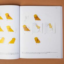 Load image into Gallery viewer, open-book-showing-several-steps-how-to-fold-a-lion