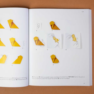 open-book-showing-several-steps-how-to-fold-a-lion