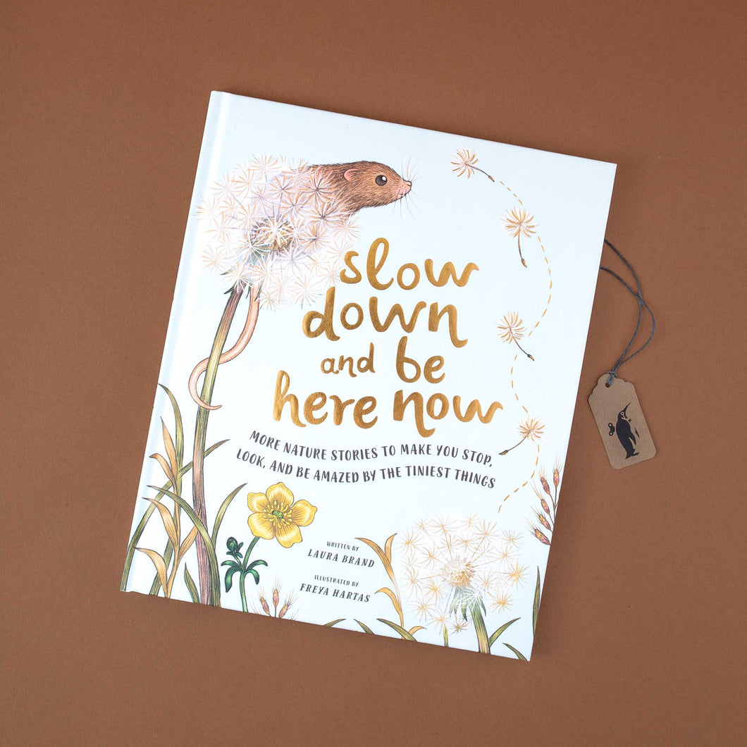 Slow Down and Be Here Now Book by Laura Brand and Freya Hartas