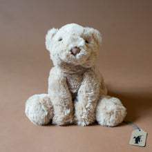 Load image into Gallery viewer, soft-tan-smudge-bear-stuffed-animal