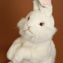 Load image into Gallery viewer, close-up-view-of-standing-white-rabbit-face
