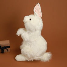 Load image into Gallery viewer, side-view-of-standing-white-rabbit
