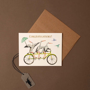 trio-of-storks-riding-bike-with-the-word-congratulations-and-brown-envelope