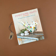 Load image into Gallery viewer, cover-of-sweet-caper-craft-project-book-with-paper-mache-bird-displayed