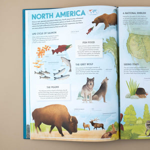 open-book-showing-information-about-north-america-and-grizzly-bear-bison-and-grey-wolf