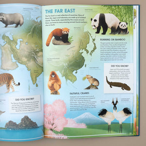 The Amazing Animal Atlas Book