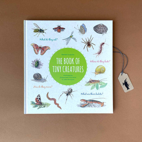 The Book of Tiny Creatures - Books (Children's) - pucciManuli
