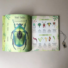 Load image into Gallery viewer, the-brilliant-book-of-bugs-illustrated-pages