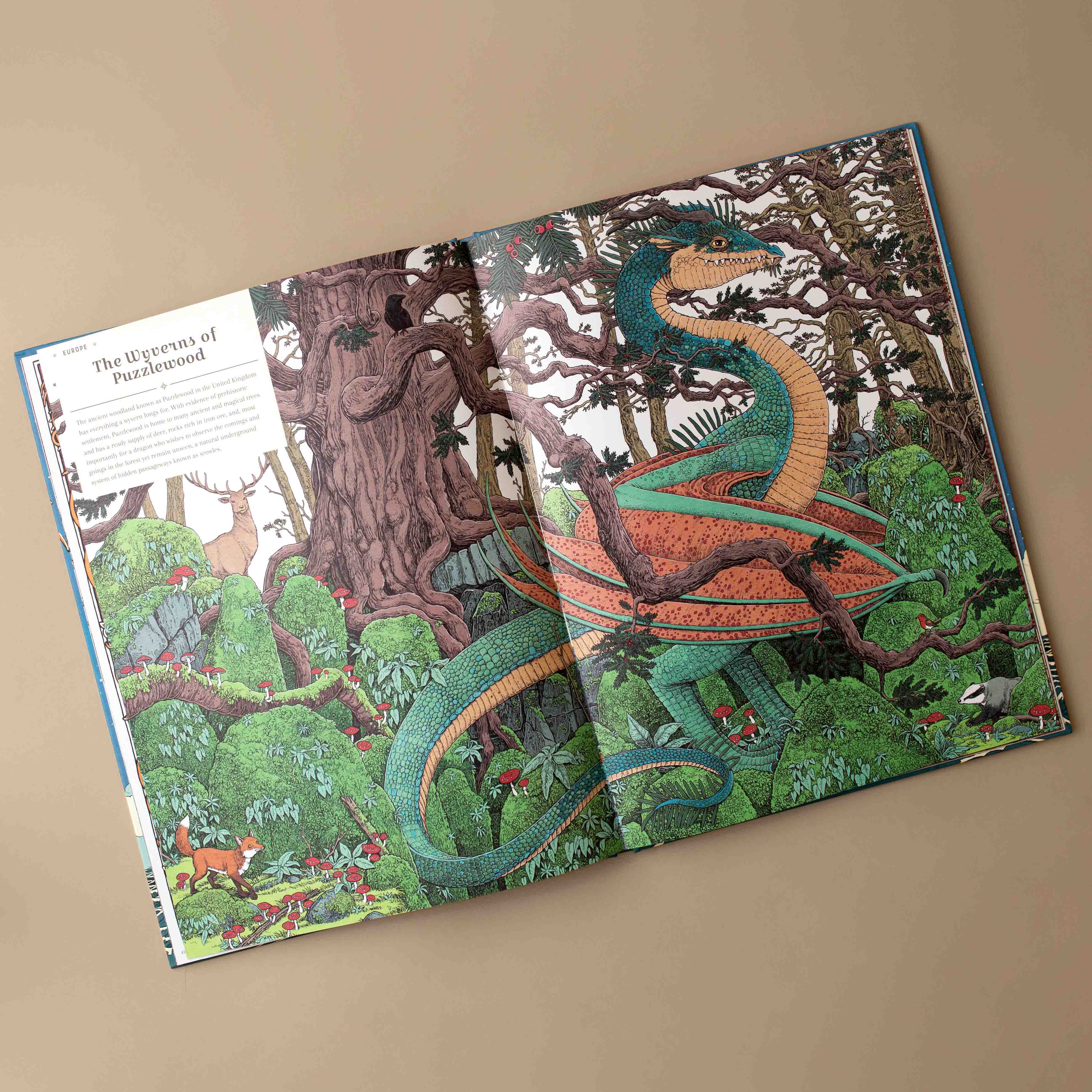 The-dragon-ark-inside-pages-illustrated-dragon-in-thick-forest