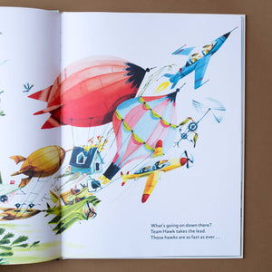 The Fantastic Flying Competition - Books (Children's) - pucciManuli