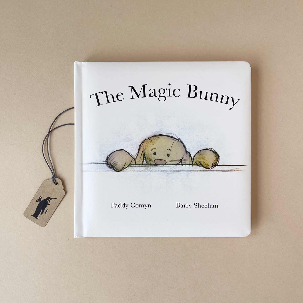 the-magic-bunny-board-book-by-paddy-comyn-and-barry-sheehan