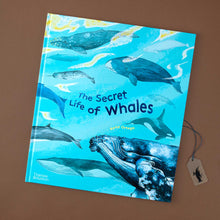 Load image into Gallery viewer, book-cover-showing-different-types-of-whales-on-blue-background