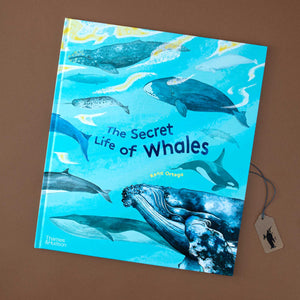 book-cover-showing-different-types-of-whales-on-blue-background