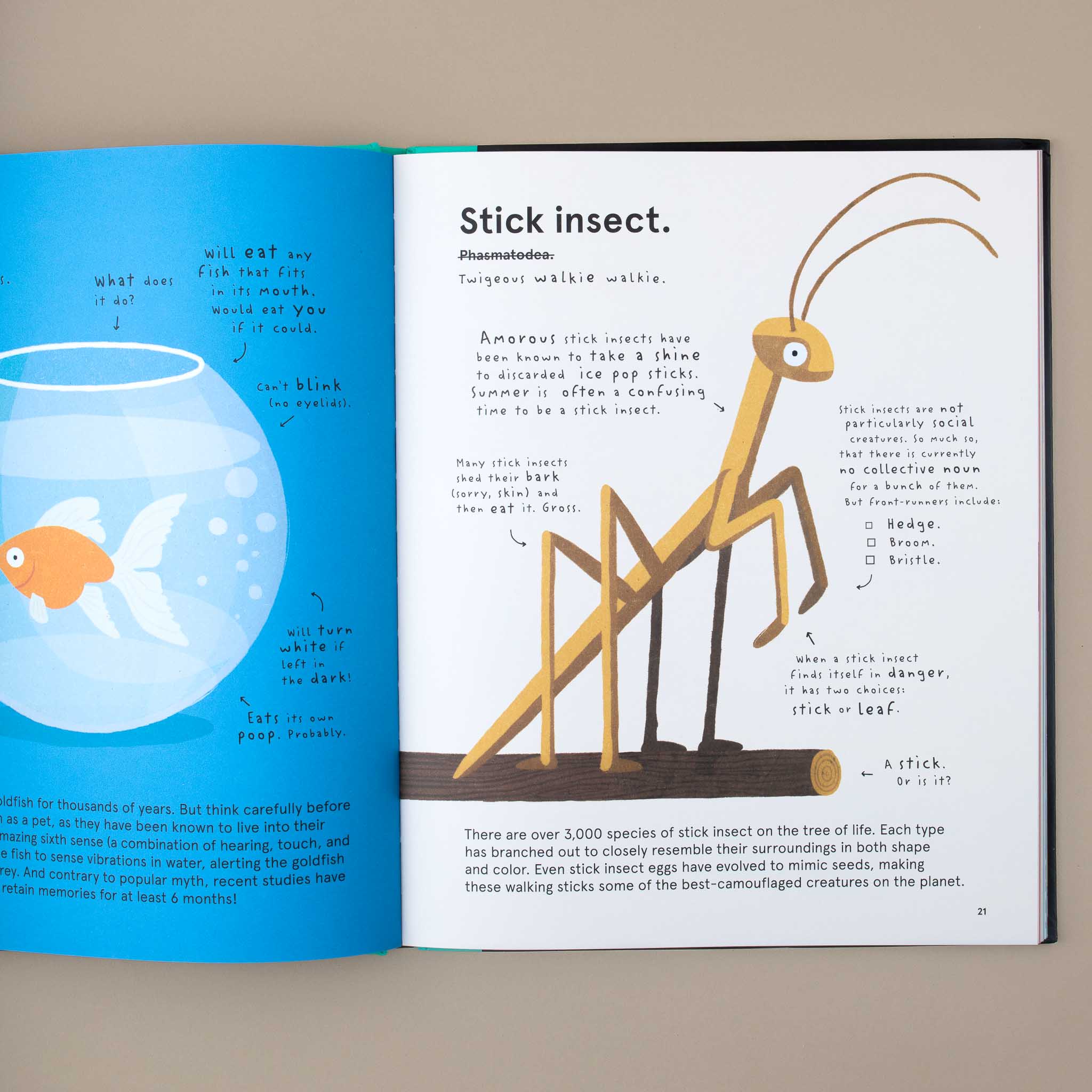 open-book-showing-a-white=page-about-stick-insect