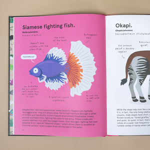 inside-pages-siamese-fighting-fish