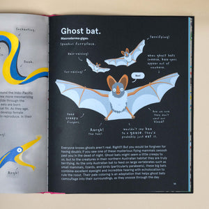 inside-pages-ghost-bat