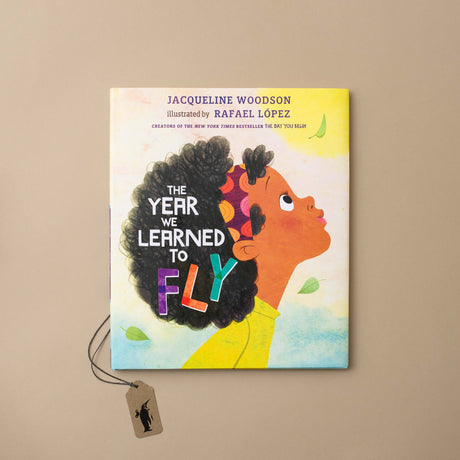 The Year We Learned to Fly Book - Books (Children's) - pucciManuli