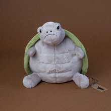 Load image into Gallery viewer, timmy-turtle-front
