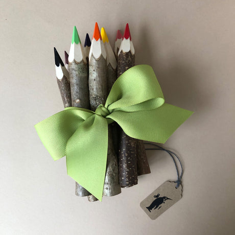 bundle-of-twig-colored-pencils-wrapped-with-green-ribbon