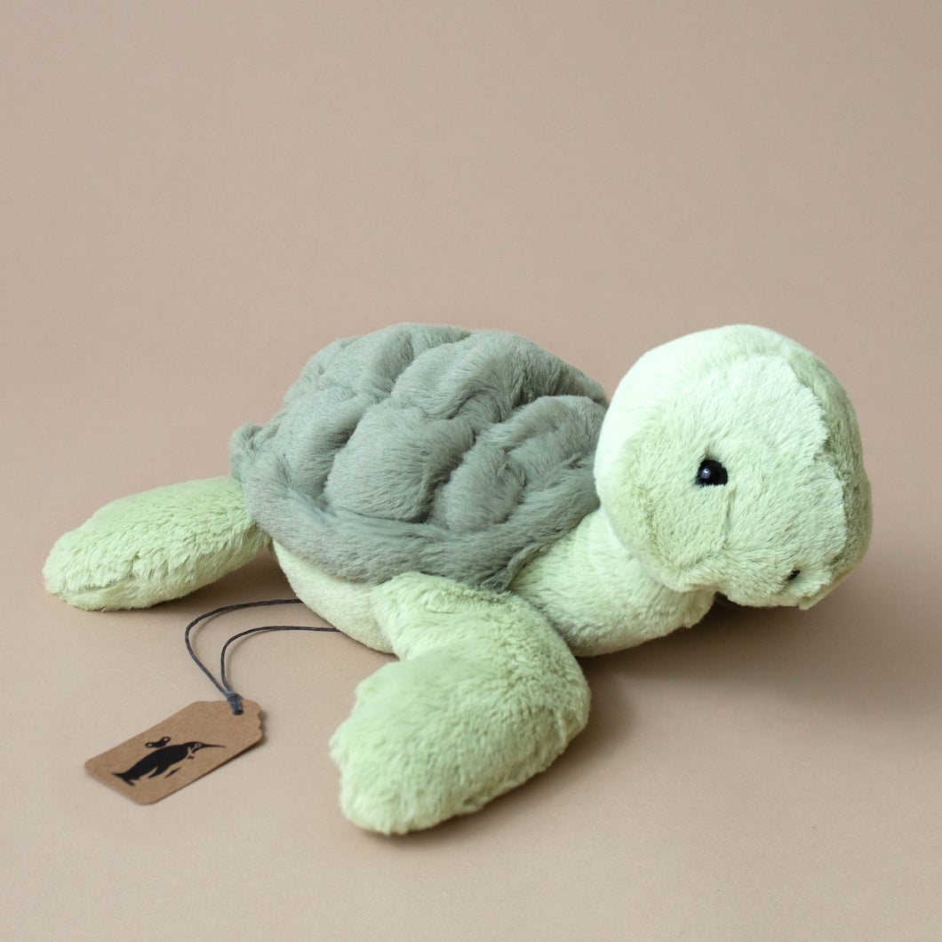 Tully Turtle - Stuffed Animals - pucciManuli