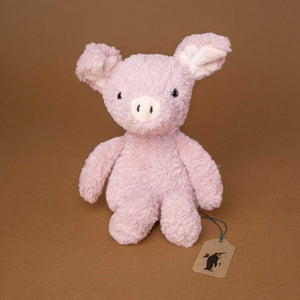 small-pink-soft-pig-with-long-floppy-ears-and-black-eyes