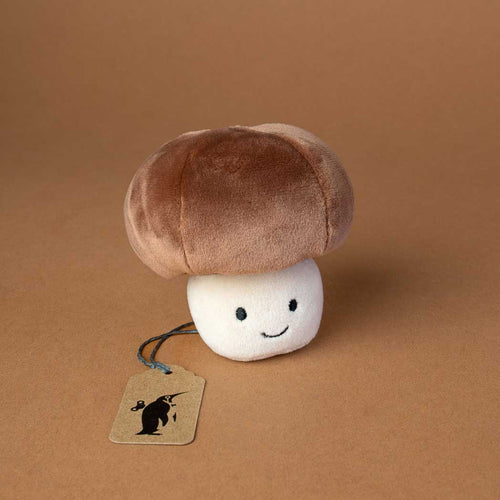 small-beige-mushroom-with-dark-brown-hat-and-smiley-face