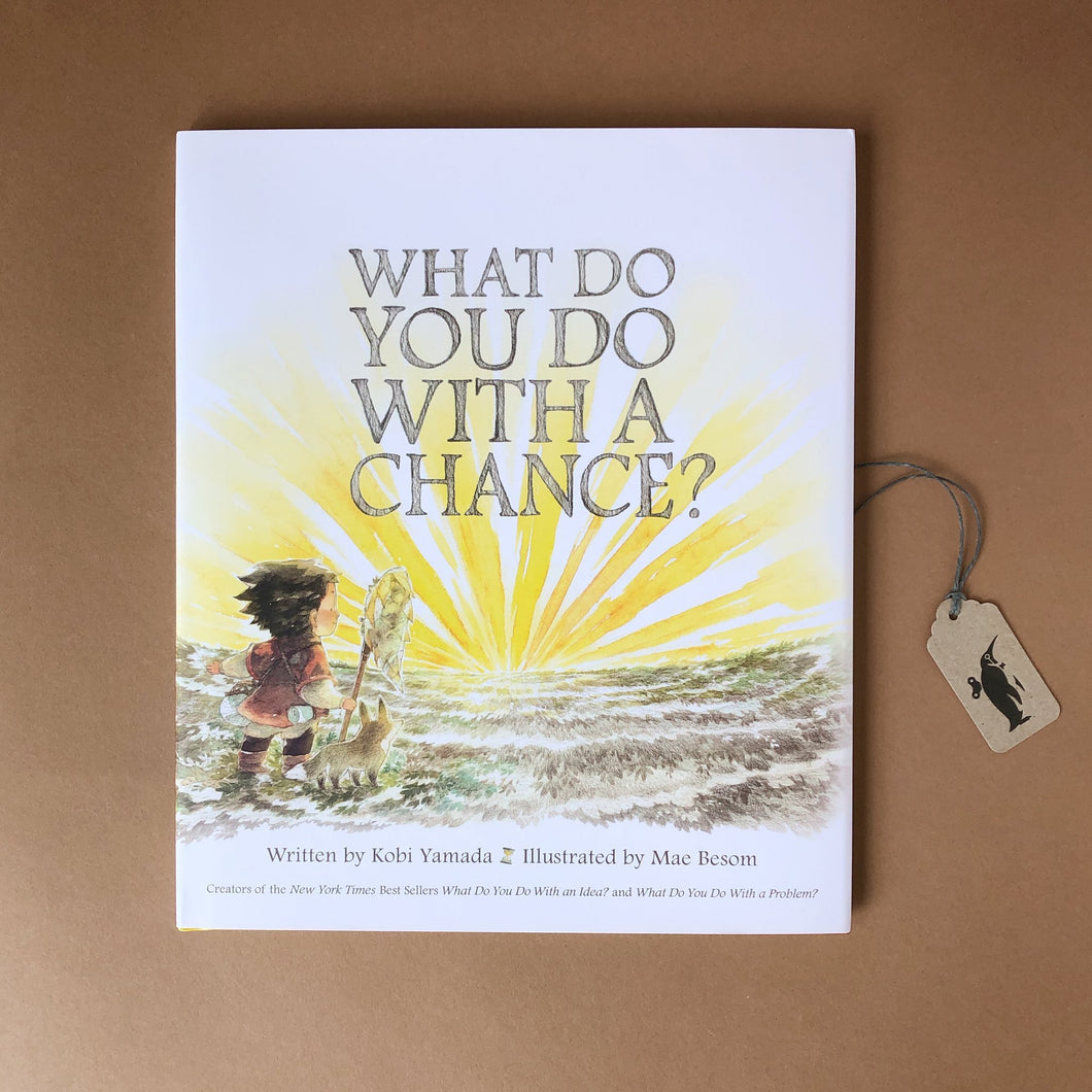 what-do-you-do-with-a-chance-book-cover
