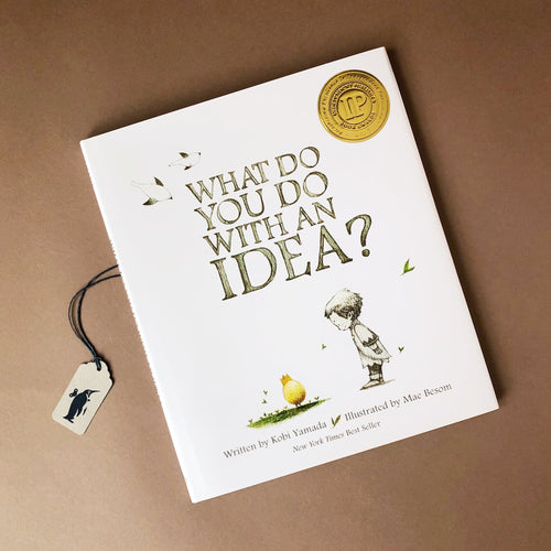 what-do-you-do-with-an-idea-book-cover